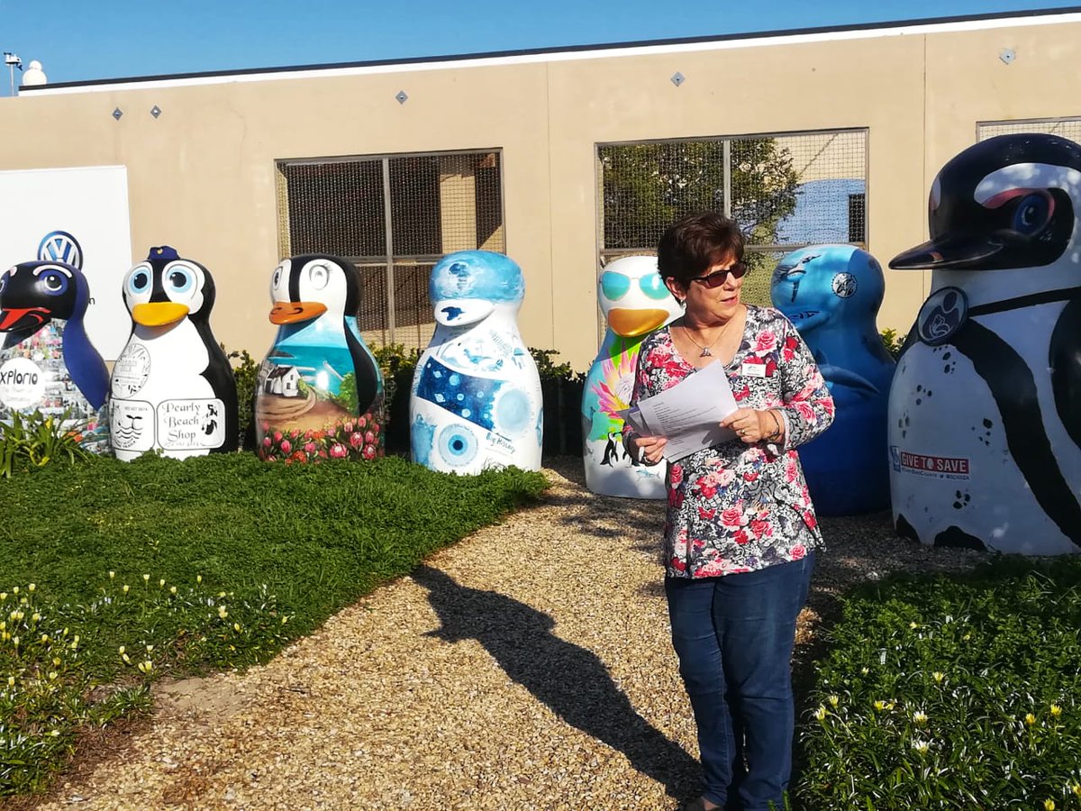 visitstanford's tweet photo. How gorgeous? Located all over the @WhaleCoastSA as part of an awareness campaign &amp; all painted by local artists. We're super excited as we'll be hosting one too! #visitstanford #stanfordtourism #conservation #penguins #capewhalecoast 

cc @GansbaaiTourism @OverstrandMuni https://t.co/dZU05v1ZGV