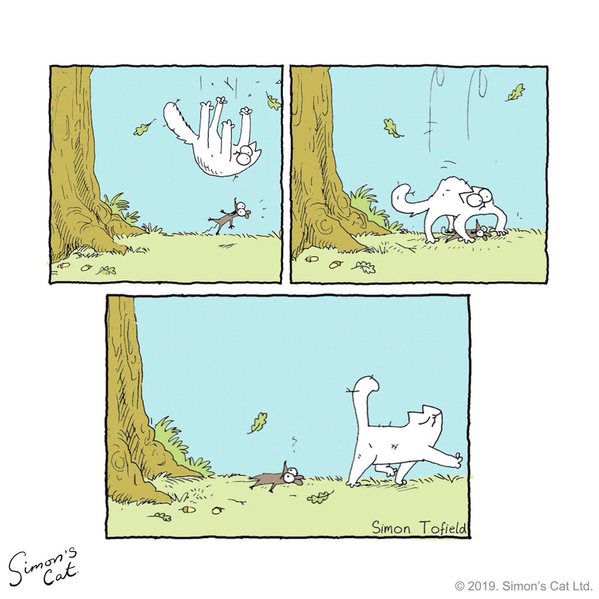 ...and PIVOT! 😸🐁