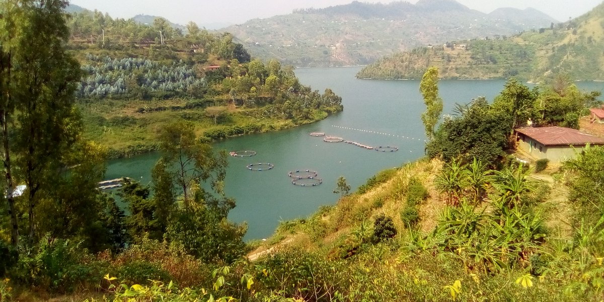 jennygeniale_'s tweet photo. @Chrishema Karongi district #kivulac https://t.co/VnSJt8KpXk