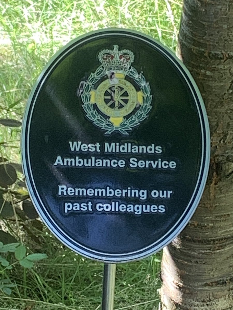 Steve McIntosh tweet media