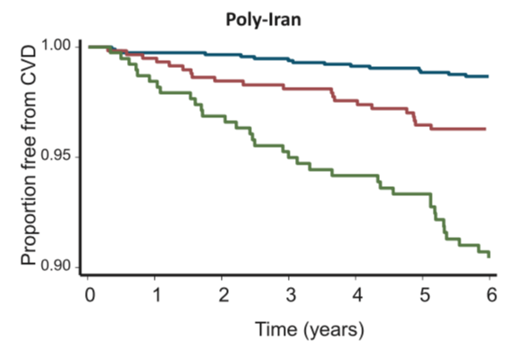 #4 In a 5 year FU in MESA (similar to the one conducted in the current RCT)In CAC Zero CVD rates 2.5-4/1000 person yearMost of the events occurred in those with CAC>100 with CVD event rates 15.8 and 18.4 per 1,000 person-years. See CVD KM curves for PolyIran criteria