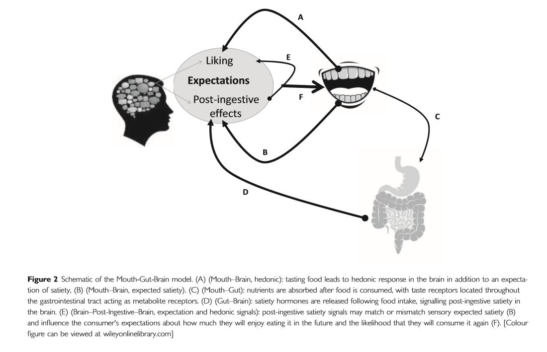 curriculum plans and processes in instructional design international perspectives 2004