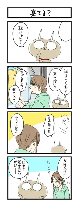 【夜の4コマ部屋】来てる？ / サチコと神ねこ様 第1154回 / wako先生 – Pouch［ポーチ］  