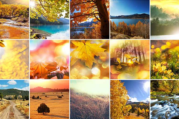 amrishmudgal's tweet image. 30+ Top Photo Collage Maker Apps,
☝️must-have on your phone
Check Out lttr.ai/G2Qd 

#photoapps #Collage #Instagram #Pixpa #photoapps #Pixpa #Collage #Instagram