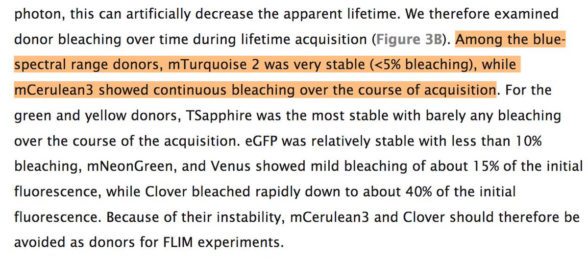 joachimgoedhart's tweet photo. Note the superior photostability of #mTurquoise2 relative to mCerulean3
This has been documented as well in our original study:
https://t.co/BIjKvP21bp https://t.co/ADpDMydTjz