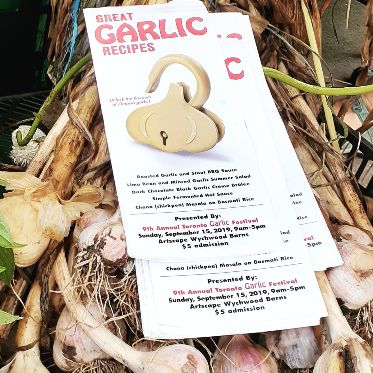 Toronto Garlic Fest On Twitter Unlock The Flavours Of Ontario