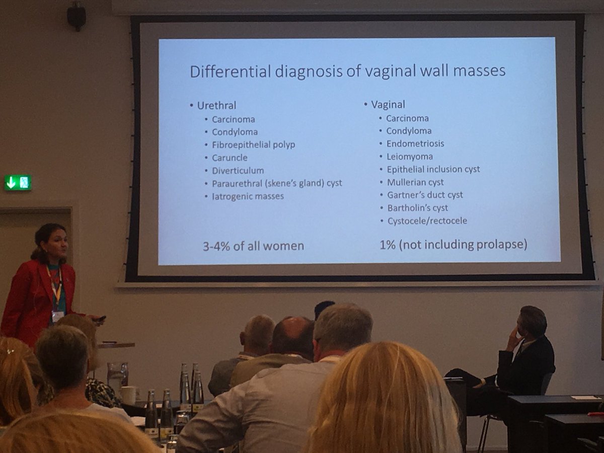 doculla's tweet photo. @AnnePCameron finishing off an excellent talk on vaginal wall masses: Speak to patients and examine them!! #CopMich2019 https://t.co/9ifoaIDdT5
