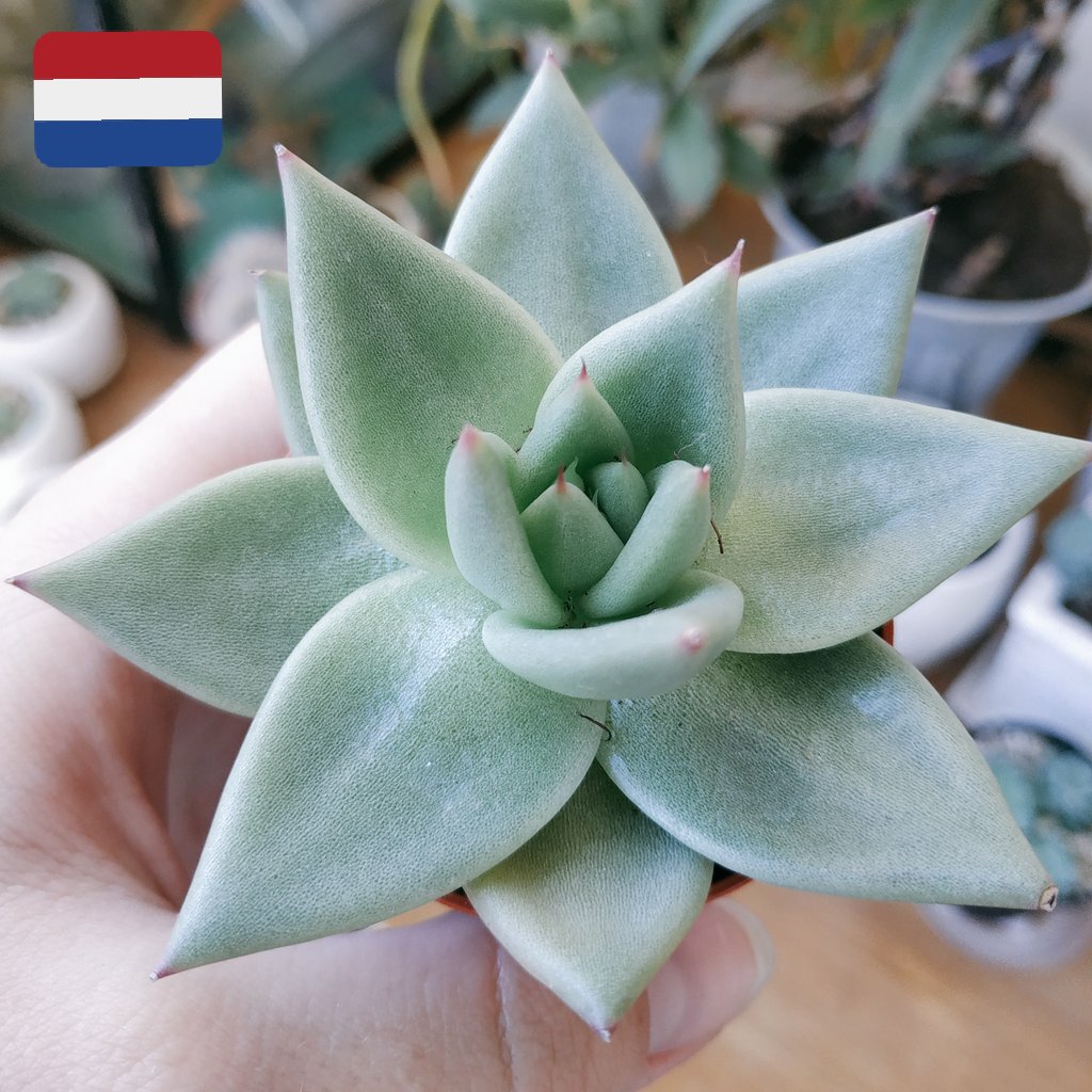 Drterrens tweet media