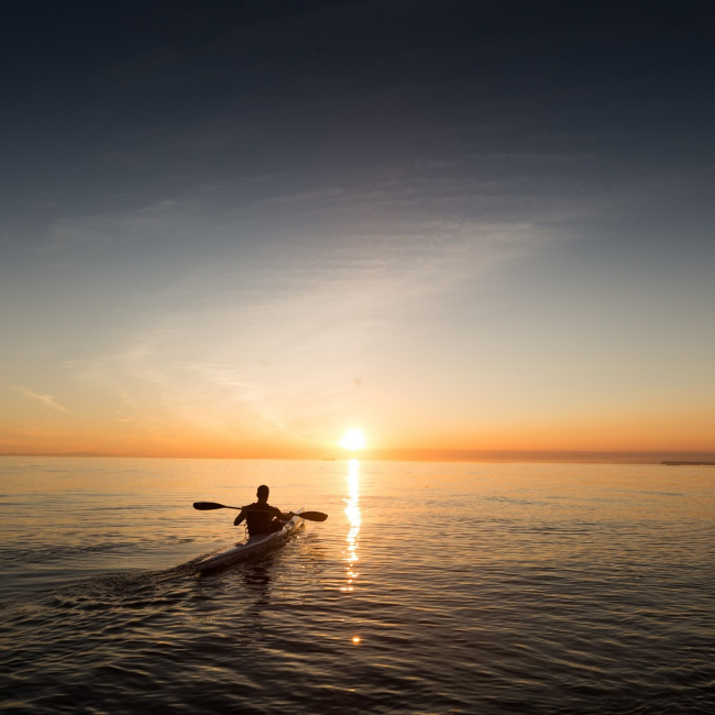 FlipBizChat's tweet photo. "Every year Charleston is named to a “best travel destination” list in one publication or another. Fun activities like kayak fishing are part of the reason why: " https://t.co/RifZv1lClZ #travel #kayaking #CharlestonSouthCarolina https://t.co/aDgKw1m5Y1