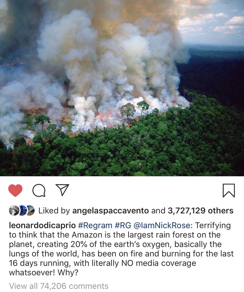 kat3mile's tweet photo. @BBCNewsEnts @BBCWorld How’s this for News over salaries of actors ... #Amazonia #rainforest #breakingnews https://t.co/sYLrULh0fg