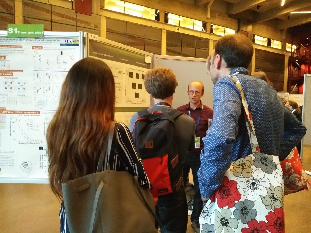 It seems @JensJoschi couldn't finish his poster session even today's  #eseb2019  poster session has ended