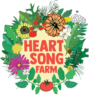 abundancefound's tweet photo. Warm welcome to Heart Song Farm to 12th Annual Pittsboro PepperFest! This diversified produce farm will not only be serving up delicious samples, but is also one of our pepper farmers. Check out what's cooking at their booth!

Tickets available now: https://t.co/cIEBJAvZbl https://t.co/9ArTmFBi2o