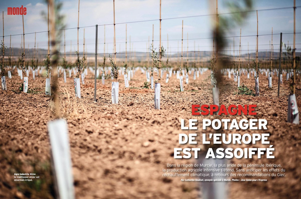 PolarisImages's tweet photo. 🌱 Drought in Spain threatens Europe's vegetable garden in @LExpress
📷 © @JColonToscano / @PolarisImages
► https://t.co/AOAdGELJp9 https://t.co/UDDBC78Mlb