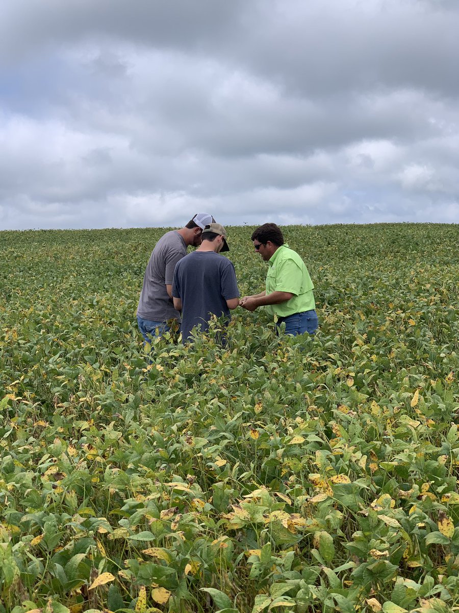 Volunteer Ag Services (@volunteerag) on Twitter photo Big thanks to <a href="/BBlessitt/">Brewer Blessitt</a> , Agronomy Research Manager for <a href="/PioneerSeeds/">Pioneer Seeds U.S.</a> for taking time to teach maximized value from timely desiccation of our soybeans to my interns. Generating knowledge and revenue to our customers. #WithYouFromTheWordGo #StuffHappensWhenYouPlantInApril Big thanks to <a href="/BBlessitt/">Brewer Blessitt</a> , Agronomy Research Manager for <a href="/PioneerSeeds/">Pioneer Seeds U.S.</a> for taking time to teach maximized value from timely desiccation of our soybeans to my interns. Generating knowledge and revenue to our customers. #WithYouFromTheWordGo #StuffHappensWhenYouPlantInApril