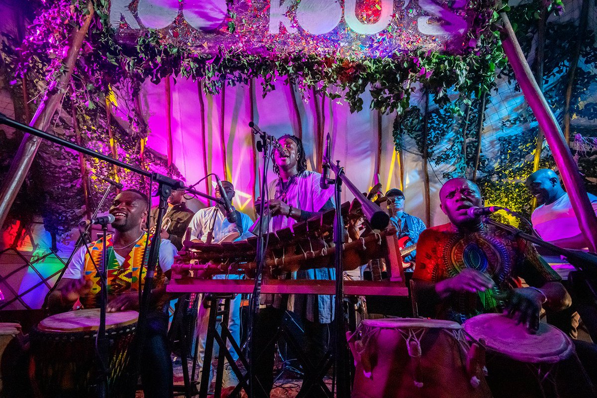 Tribe of Doris tweet media
