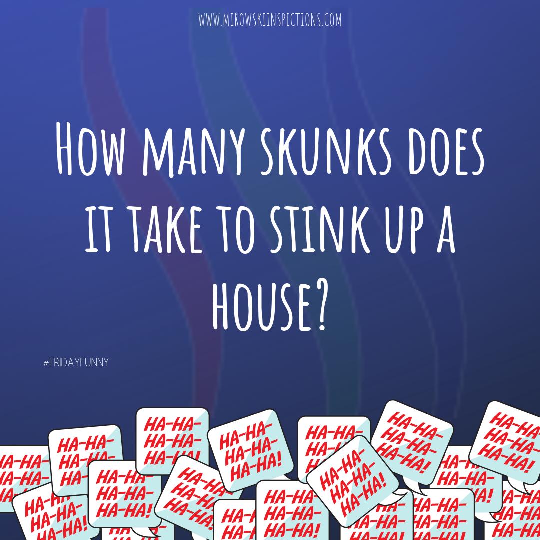 MirowskiInspect's tweet image. How many skunks does it take to stink up a house?
.
.
---   A phew  ---
.
#fridayfunny #inspectorhumor #homeinspections #inspectionbusiness  #springfieldmo 
.
Did you know:  Nothing diffuses anger and conflict faster than a shared #laugh.