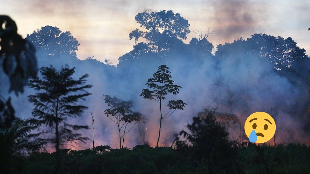 kavya0610's tweet photo. #ActForAmazonia #SaveAmazonRainforest it's was not a small problem. It's our nature we have to save #TrendingNow https://t.co/VzabpFioeg