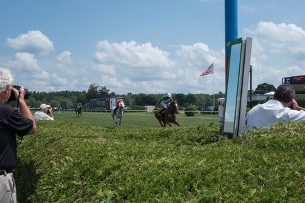 nyti.ms/2ZhtiwI Have All the Race Horses Gone?" by JOE DRAPE via NYT