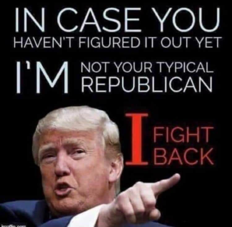 bindyb123's tweet photo. @GayRepublicSwag He is REAL not a politician! #Fearless #HeFightsForUs #GivesItBack #MAGA #KAGA2020 https://t.co/mPAulWZJTD