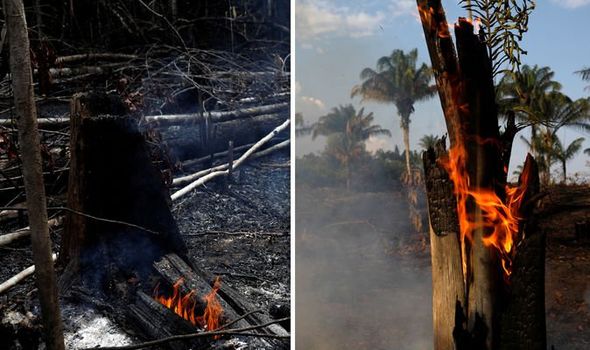 SYeaseruzzaman's tweet photo. Wildfires rage in the #Amazon #AmazonFires #AmazonRainforest 
Get the latest news https://t.co/jOxGBl0fH1
#IHerebyOrder #FridayFeeling #LoverOutNow #KochBrothers #DisneyPlus #FridayFeeling https://t.co/oXJTK1O2HK