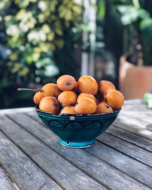 MarcaChile's tweet photo. ¡Por fin llegó el Día del Níspero! En Chile lo usamos para expresar que algo seguramente nunca ocurrirá. Pero, aunque no lo creas, es un día que realmente se celebra en España para promover esta fruta. Dale RT a este post si tienes un par de deudas que cobrar en este día. 😉 https://t.co/Jz2rffKyuf