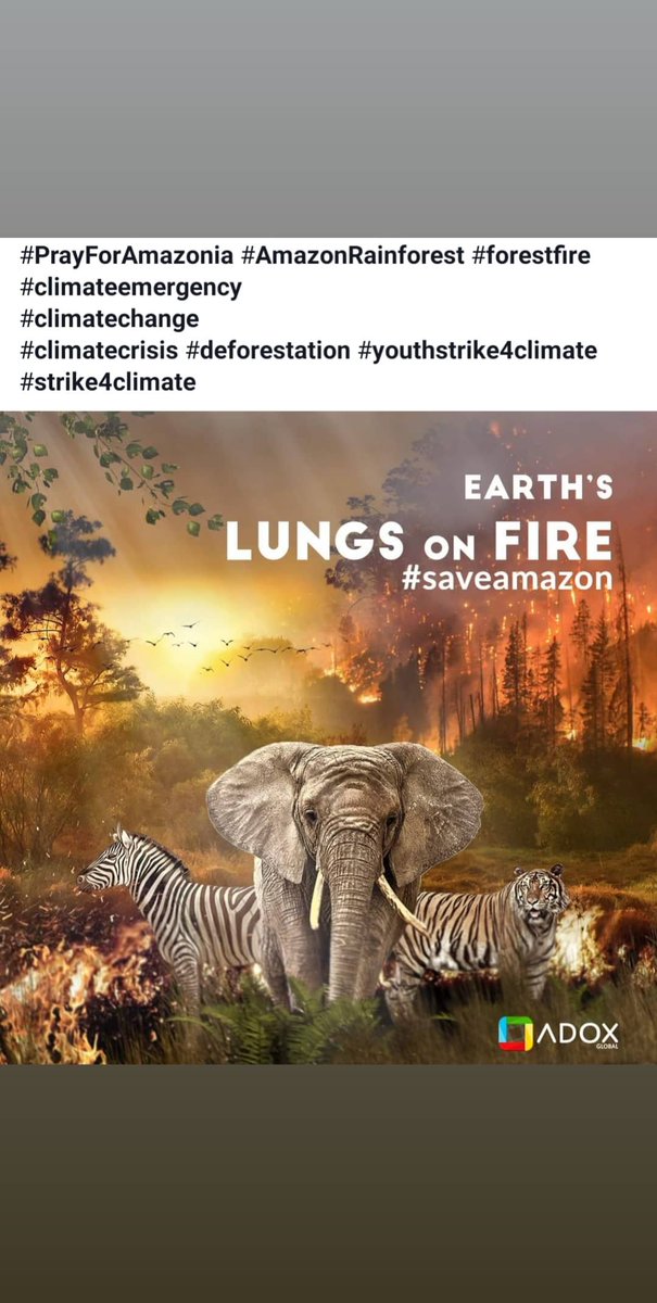 Jesmi Sunny (@sunnyjesmi) on Twitter photo 