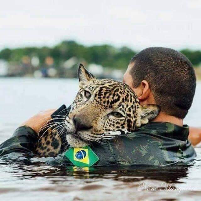 jaime_sea's tweet photo. Tregua entre animales .
#PrayforAmazonia
#AmazonasSOS #amazonasenllamas #AmazonasSomosTodos https://t.co/a89lzT4qd8