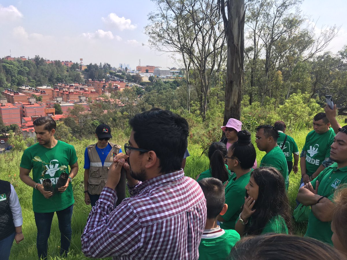 VerdeCDMX's tweet photo. Agradecemos a nuestro coordinador en #ÁlvaroObregón, @rmenendezr, a Diana Benítez, representante de la alcaldía y Yenny Maca, de la Subdirección de Áreas de Valor Ambiental con Categoría de Barranca de la Secretaría del Medio Ambiente, por su apoyo en la logística. https://t.co/S6bIGGkQu0