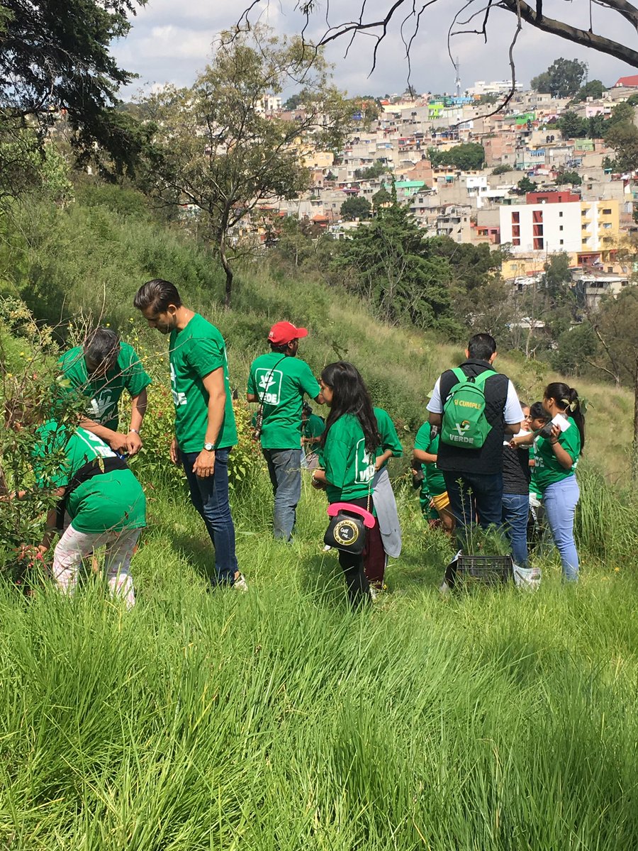 VerdeCDMX's tweet photo. Agradecemos a nuestro coordinador en #ÁlvaroObregón, @rmenendezr, a Diana Benítez, representante de la alcaldía y Yenny Maca, de la Subdirección de Áreas de Valor Ambiental con Categoría de Barranca de la Secretaría del Medio Ambiente, por su apoyo en la logística. https://t.co/S6bIGGkQu0