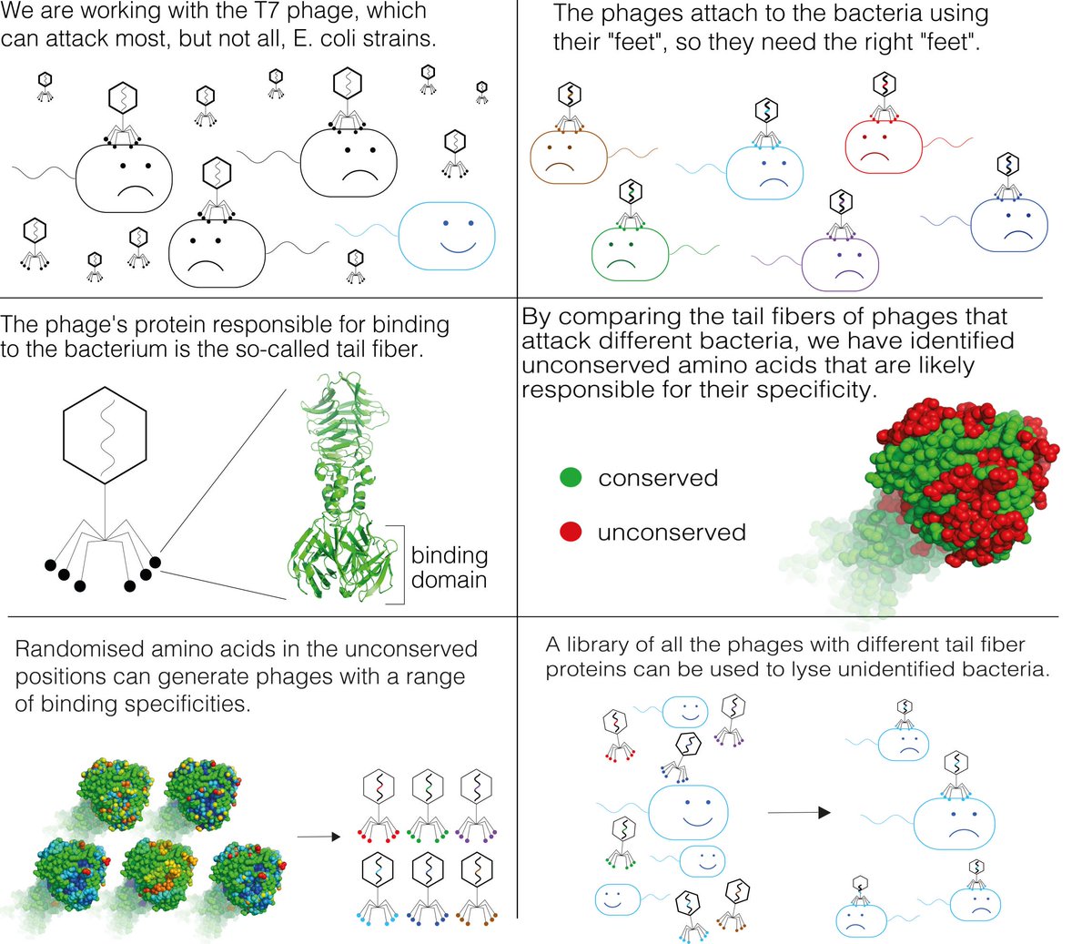 We put together a short cartoon to explain our project. Let us know what you think!