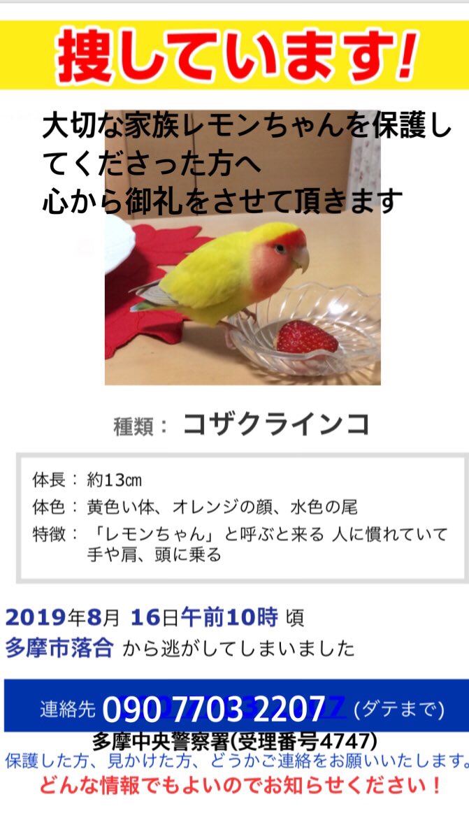 多摩センター周辺