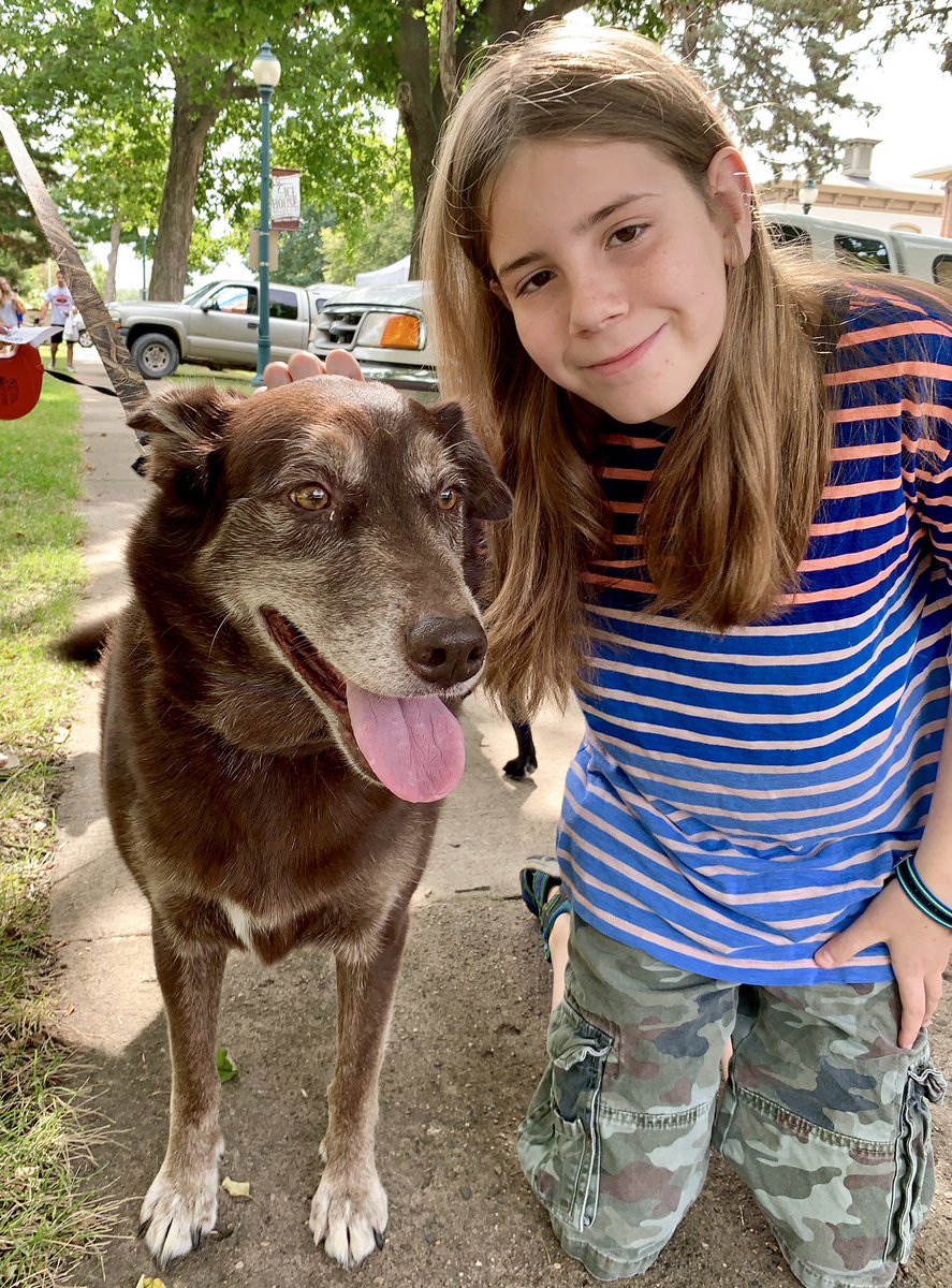 IvePetThatDog's tweet photo. I pet Tucker. He is 9 years old. When Tucker is not napping or basking in the sun, he likes to run away. He has been posted on the Facebook Lost and Found page many times. He once ran across the entire town of West Union, IA. Tucker has given his caregiver a lot of grey hair. https://t.co/HFT2lAU9Xt