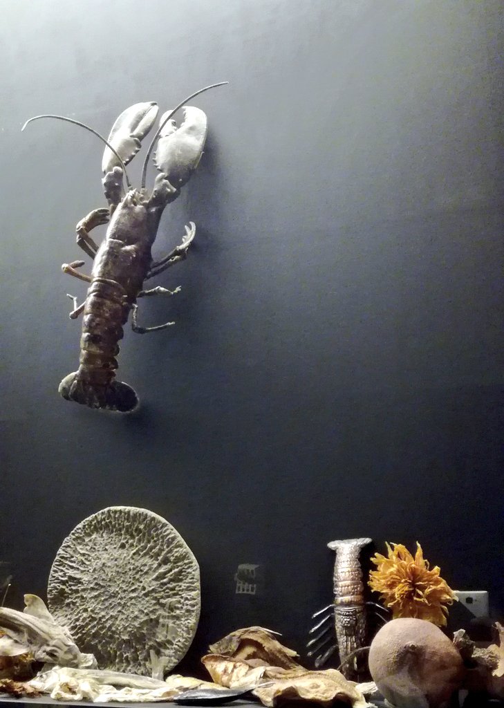 GuyHomard's tweet photo. Cabinets de curiosités au @fhel_landerneau, une expo étonnante et originale, entre sciences et arts, à découvrir en faisant preuve de curiosité ! https://t.co/aJitPFb4Dy https://t.co/IhIsvj0phf