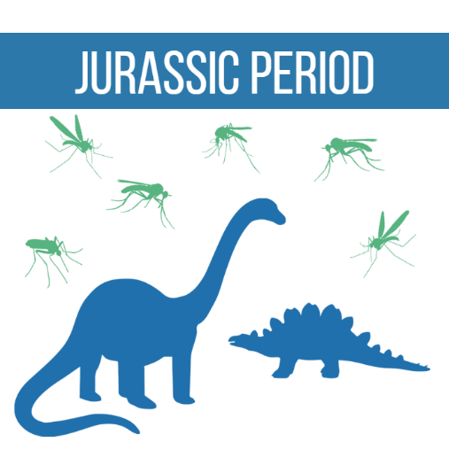 CentralMosquito's tweet photo. #Mosquitoes have been around since the Jurassic period, making them about 210 million years old! #CentralMosquito https://t.co/HLcCnwj2yb