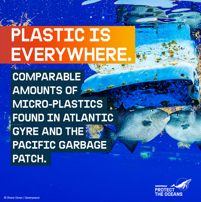 This is not what we wanted to find on our expedition to the Sargasso Sea. Join the call for ocean sanctuaries now! >> greenpeace.org/protecttheocea…

#ProtectTheOceans #BreakFreeFromPlastic