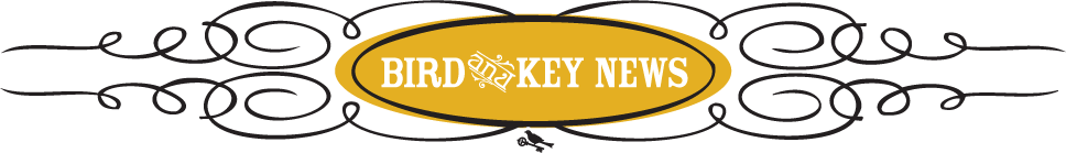BirdandKey tweet picture