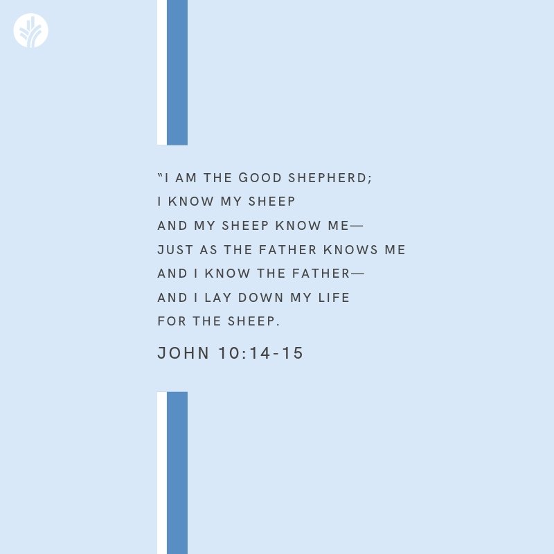 Discover The Word tweet media