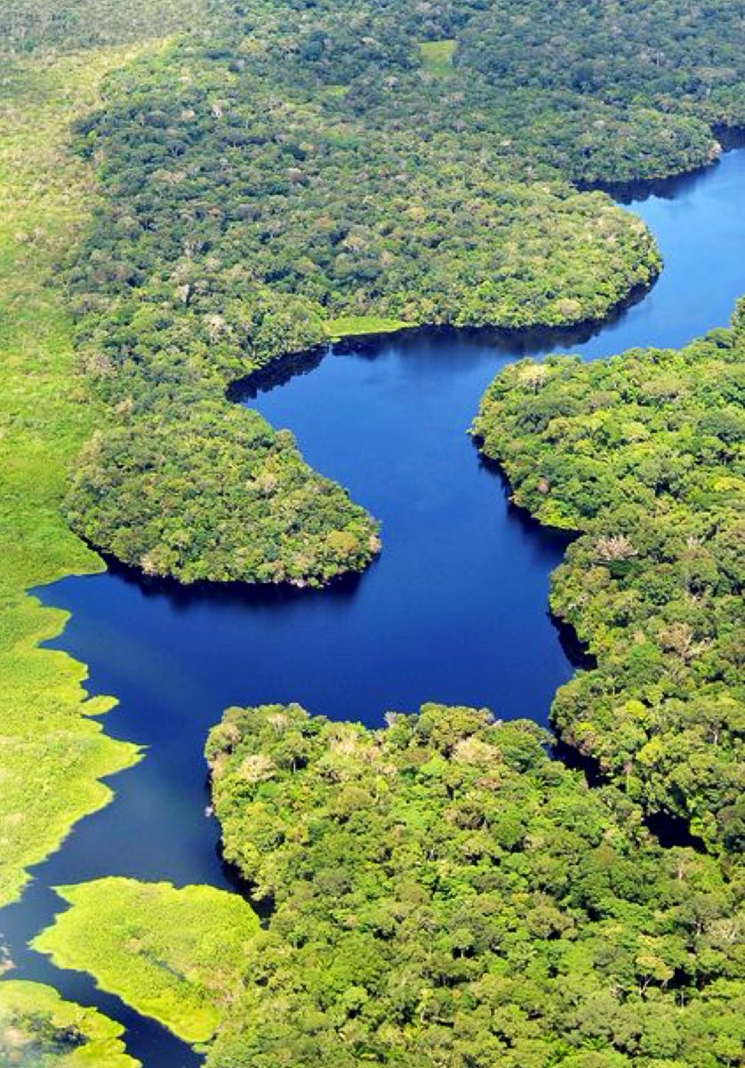 aesquinca's tweet photo. Ahora en @alfa913fm, unámonos en ORACIÓN DE LA LUZ por el #Amazonas.
Imagínenlo con abundante lluvia y luz sanadora cayendo sobre toda la zona, la gente y los animales.
#PrayforAmazonas #AmazonFire #AmazonasEnLlamas 
RT RT!! https://t.co/4p6Kdbdn6c