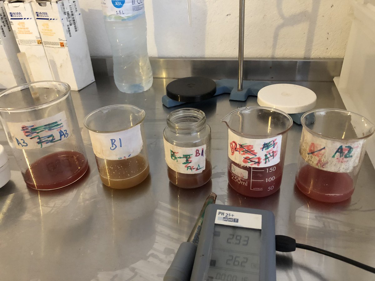 anbv_es's tweet photo. Realizando controles de maduración para la vendimia 2019, estos días se está realizando una maduración muy correcta, la climatología nos está ayudando mucho, temperaturas ligeras con brisas suaves para refrescar la uva, esperando una buena vendimia!!
https://t.co/vj3SiLuo65 https://t.co/2YjdRJqhxi