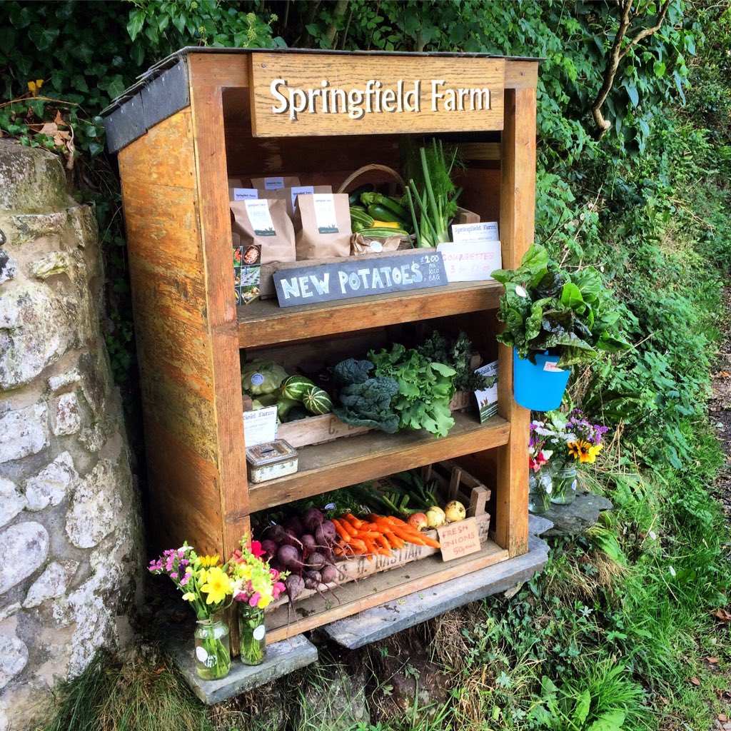 Springfield Farm tweet media