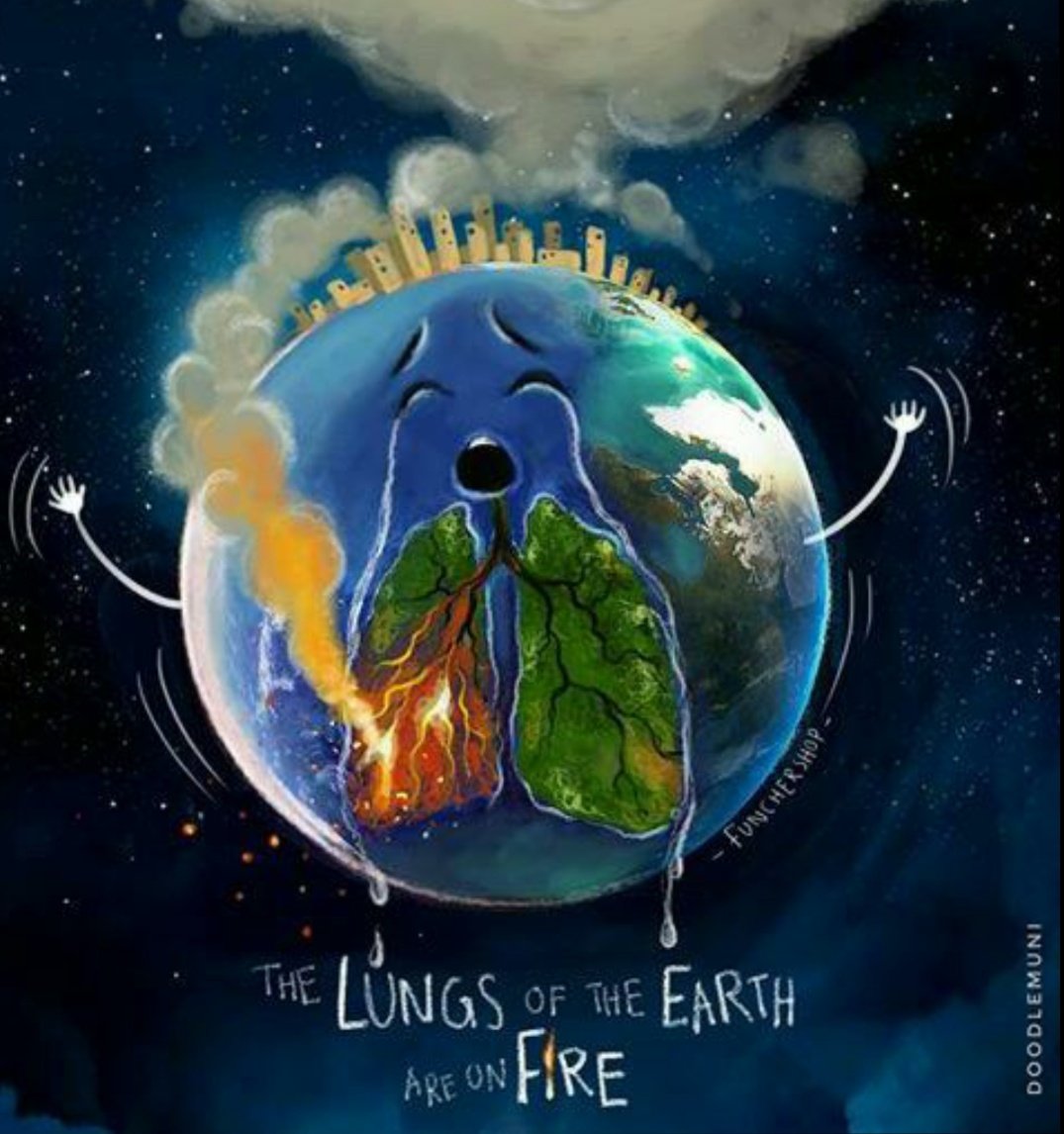 RiyaSahu3's tweet image. #AmazonFires the perfect sketch depecting the situation 
#savetheamazon #SaveEcosystem