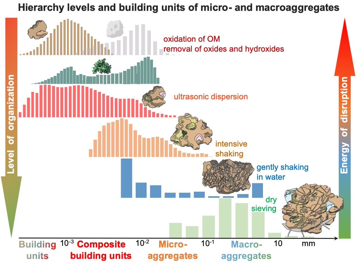 Full access of the latest paper in <a href="/GlobalChangeBio/">Global Change Biology</a>  from our group is already available, by Anna Yudina and <a href="/ykuzyakov/">Yakov Kuzyakov . . . priming Soil Science</a> - "Saving the face of soil aggregates" onlinelibrary.wiley.com/doi/full/10.11…