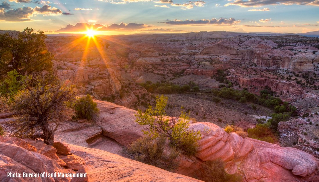 ReWikstrom's tweet image. Grand Staircase-Escalante is a national treasure that belongs to all Americans. RT to #SaveGrandStaircase and oppose new management plans that fail to safeguard its incredible scientific, ecological, and cultural wonders. #MonumentsForAll @SecBernhardt