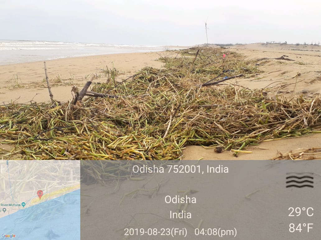 Bikramkunayak's tweet image. Puri #mangala #muhana &amp;amp; #stalling hotel back side beach please  to clean the beach from plastics &amp;amp; other waste materials for the tourists &amp;amp; citizens to enjoy the clear &amp;amp; clean beach at Puri. @Puri_Official @Puriulbeo @balwantskalewa7 @swachhbharat @CMO_Odisha
@HUDDeptOdisha