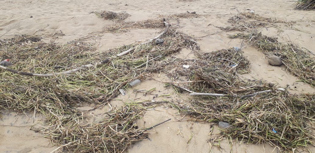 Bikramkunayak's tweet image. Puri #mangala #muhana &amp;amp; #stalling hotel back side beach please  to clean the beach from plastics &amp;amp; other waste materials for the tourists &amp;amp; citizens to enjoy the clear &amp;amp; clean beach at Puri. @Puri_Official @Puriulbeo @balwantskalewa7 @swachhbharat @CMO_Odisha
@HUDDeptOdisha