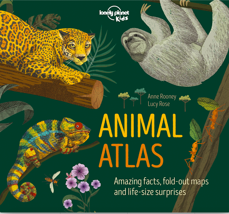 lpkids's tweet photo. #FunFactFridayAnswer: you will find the largest lizard in the world in the Komodo islands, Indonesia. It's a ferocious hunter and can small a dead animal from 10km (6miles) away.
More fun animals facts can be found in our new book The Animal Atlas, available in Oct. https://t.co/LoHR59nnEH