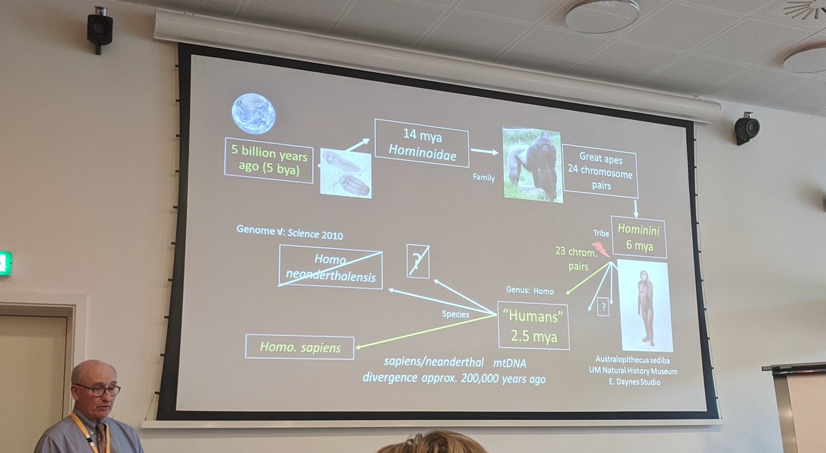 NatRevUrol's tweet photo. Prof. Bloom takes us right back to the start for the honorary lecture on "Finding equanimity in a world of TMI". Has anyone else got the theme tune to The Big Bang Theory stuck in their head?! #CopMich2019 https://t.co/QGhCwBMvJd