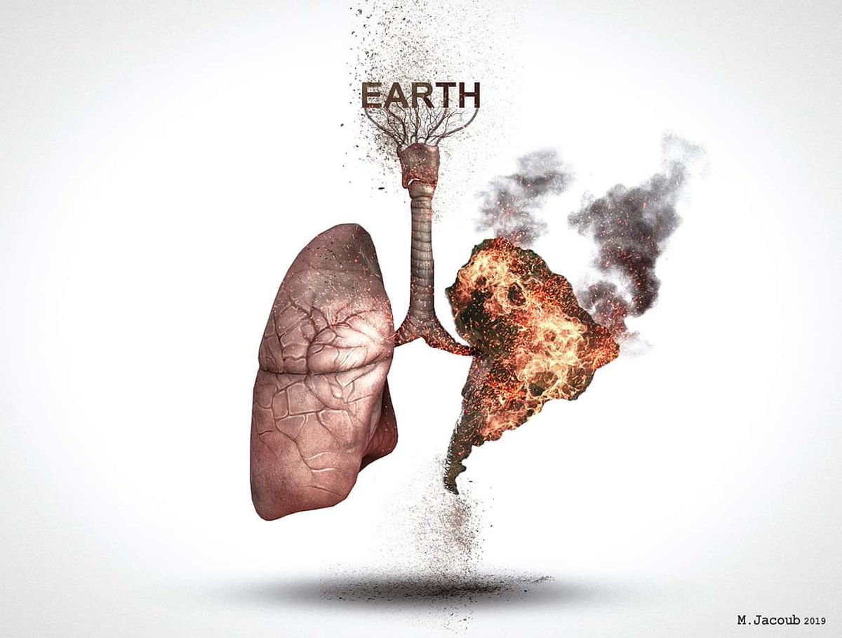 غابات الأمازون تشتعل..رئة الأرض تحترق..
The Amazon rainforest is on fire, lung of the Earth is burning.
#AmazonRainforest