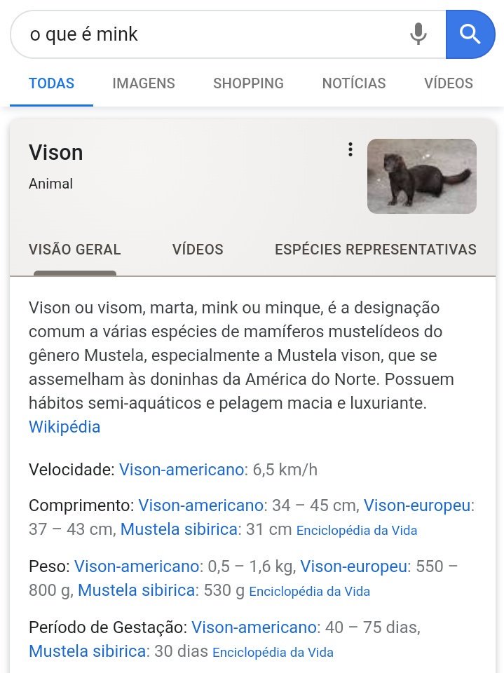 sinasbae's tweet image. galera, atenção aqui pf!!!
uma blogueira recentemente lançou uma linha de cílios, o preço é de R$80,00. esse preço absurdo é por um motivo mais absurdo ainda! os cílios são feitos de "mink" que é um animal! 

RT aqui pra divulgar, muitas pessoas pessoas não têm consciência disso