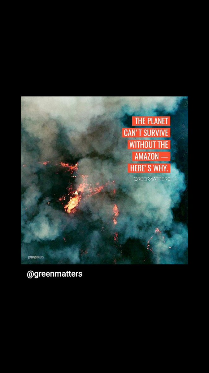 THESVTK's tweet image. #SAVEAMAZONFOREST
Brazil Government Please Save Amazon Forest